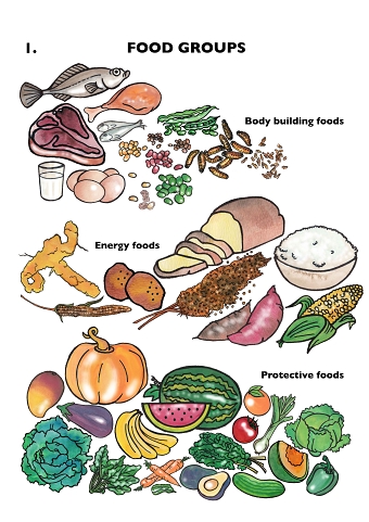 A2 Instructional Flip Chart - Nutritional Training in African Rural Areas
