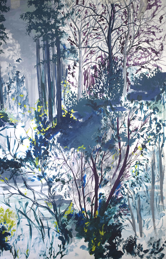 Forest Impressions