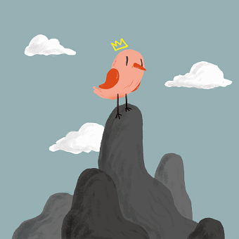 2016 Illustrations