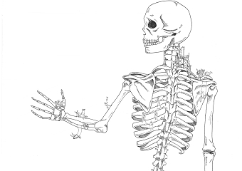 Osteoporosis concept work
