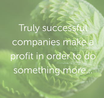 Midori Consulting Website Design