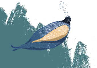 BIG moshy blue