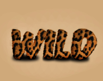 My Graphics