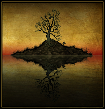 True Reflection