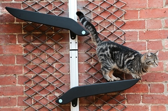 Catipilla - Premium Modular Cat Climber