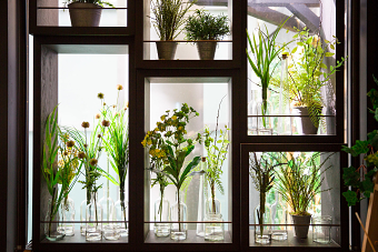 Fever-Tree Botanical Garden - Brand Activation