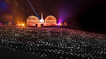 Sea of Light: Birmingham Botanical Gardens - Nov 2017