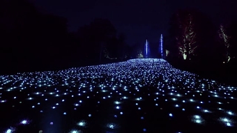 Sea of Light: Blenheim Palace - Nov 2017