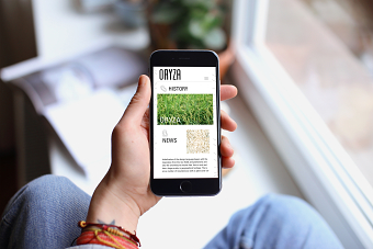 ORYZA - Identity design