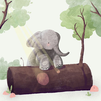 Elephants - children's book