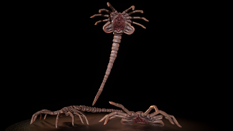 Face Hugger
