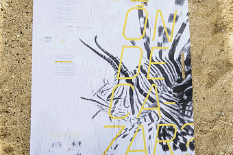 Posters For Catching Fishermen