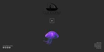 Windory Website