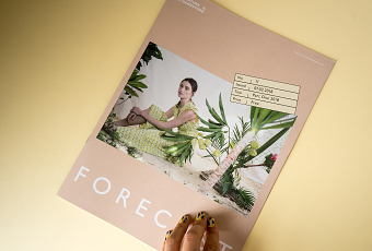 Forecast 11