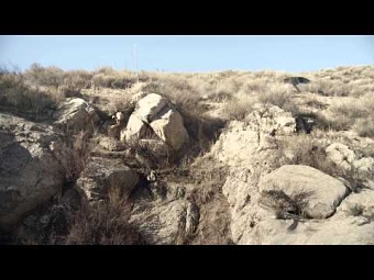 SMART TVC Offroad