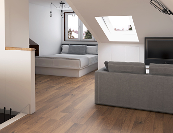 Loft Conversion