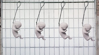 Made to Order - Stop-Motion Movie