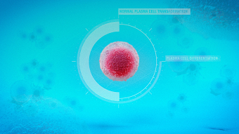 Disease pathway 3D animation