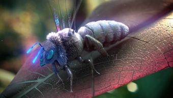 Toshiba: "Nature's Craftsman"