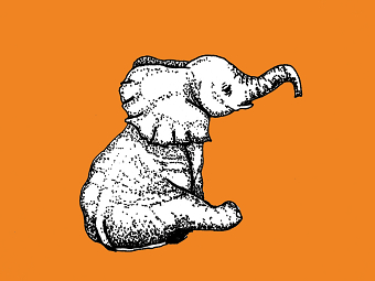 Trilogy of a walking elephant