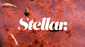We are Stellar