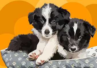 Dog vector art