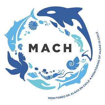 MACH Brand