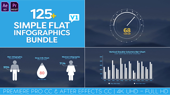 Simple Flat Infographics Bundle