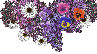 Edible flowers