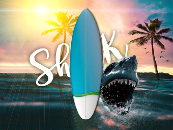 Shark Surfboards Design
