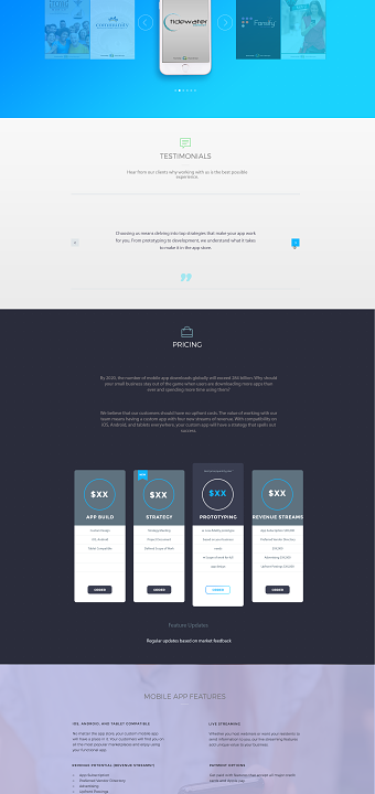 Web page design for Virtual Manager Agency