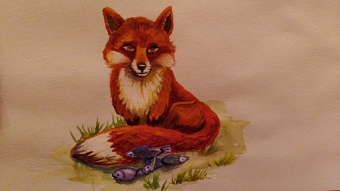 My Illustrations