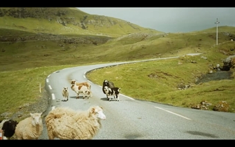 Google Sheep View