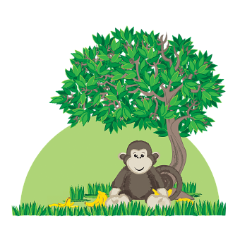 Name the Monkey Competition