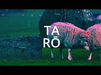 Tarō - El amargo ciclo del fracaso 失敗.