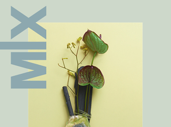 'Appreciation or Appropriation' - MIX Magazine, Issue 54