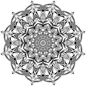 illustrator
