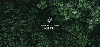 Brand Identity Design for Vihersisustus Hetki