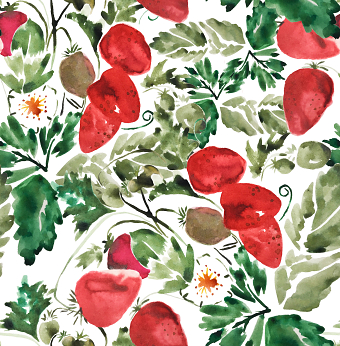 Summer Garden