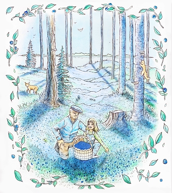 Illustrations for a commercial juice campaign