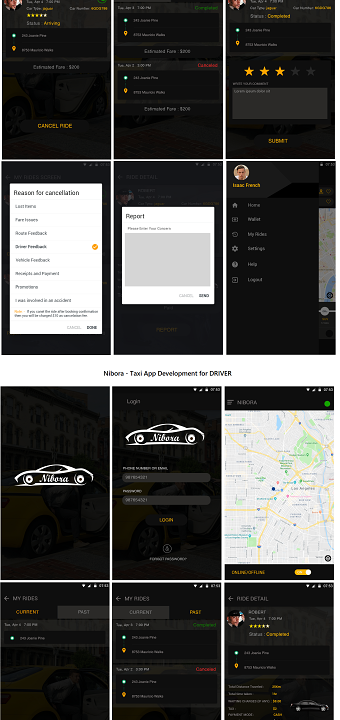 Nibora - Taxi App Development Services