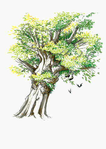 Traditional Illustration