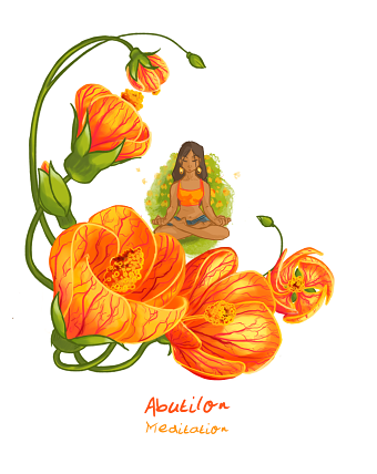 Miscellaneous Illustration