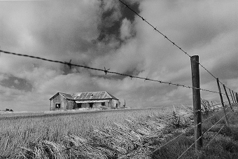 Country Gates & Fences - The Artist