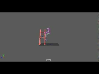 Animation