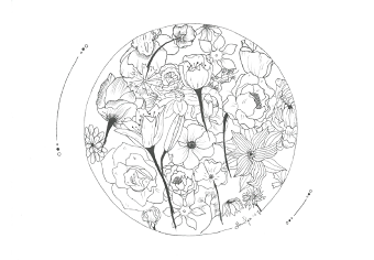 Summer Flowers