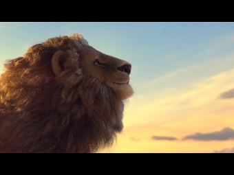 THE BITTER BOND: BORN FREE REVEALS BRUTAL REALITY  OF SOUTH AFRICA’S ‘INSTAGRAM LIONS’ IN ANIMAT