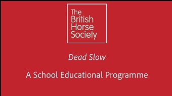 Dead Slow