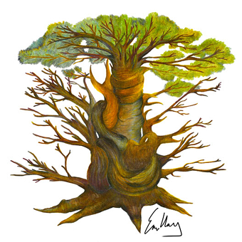 Hand Drawn Illustrations