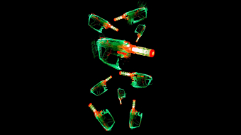 Nerf / Instagram Post